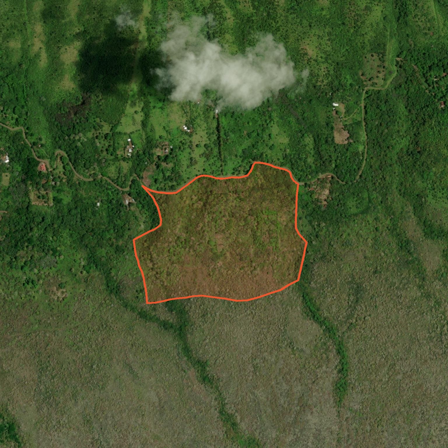 Close satellite view of the surveyed 30-hectare Saracay boundary